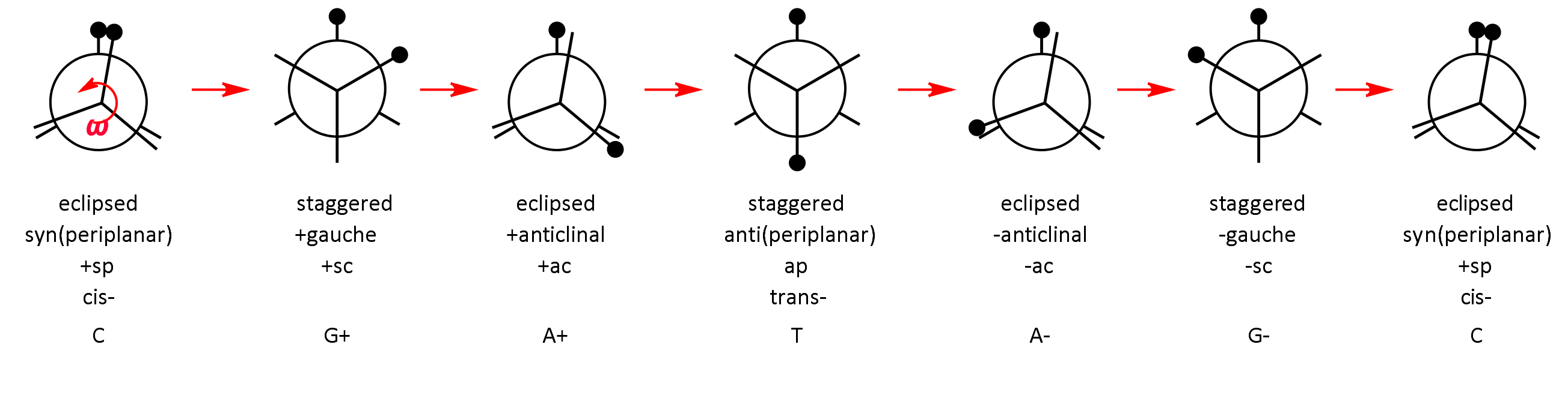 rotation 1,2-dchloroethane